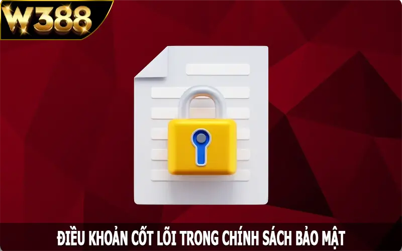 Điều khoản cốt lõi trong chính sách bảo mật mà hội viên nên biết