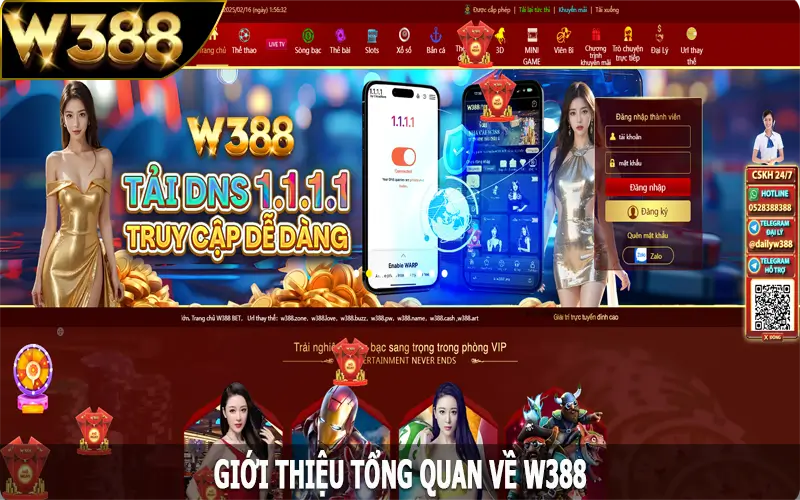 Giới thiệu tổng quan về W388