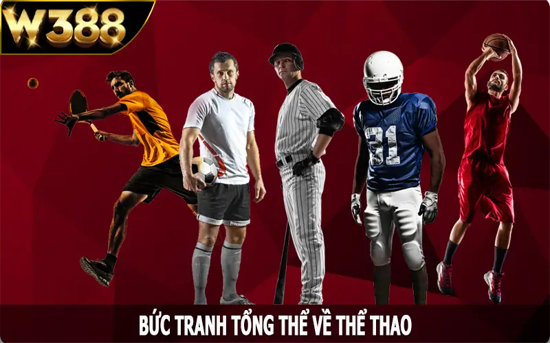 Bức tranh tổng thể về thể thao W388