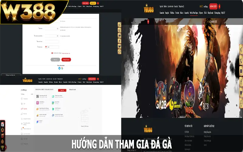 Hướng dẫn tham gia đá gà W388 đơn giản, nhanh chóng