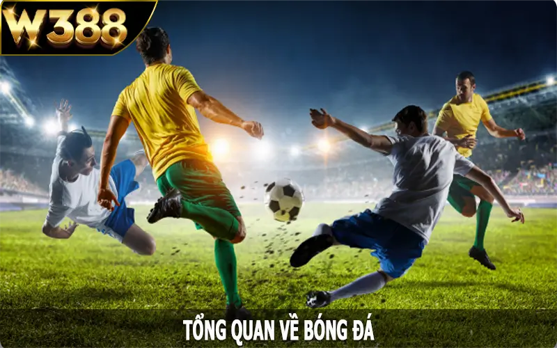 Tổng quan về bóng đá tại W388