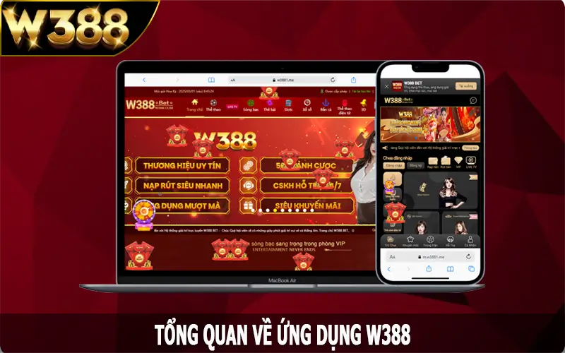 Tổng quan về ứng dụng W388