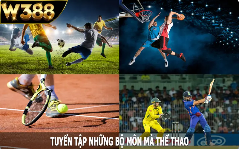 Tuyển tập những bộ môn mà thể thao W388 cung cấp